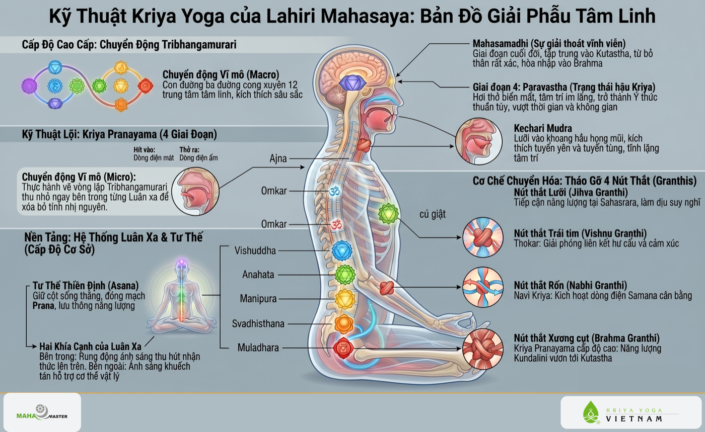 Kỹ thuật Kriya Yoga của Lahiri Mahasaya — bản đồ giải phẫu tâm linh, hệ thống luân xa và các nút thắt năng lượng