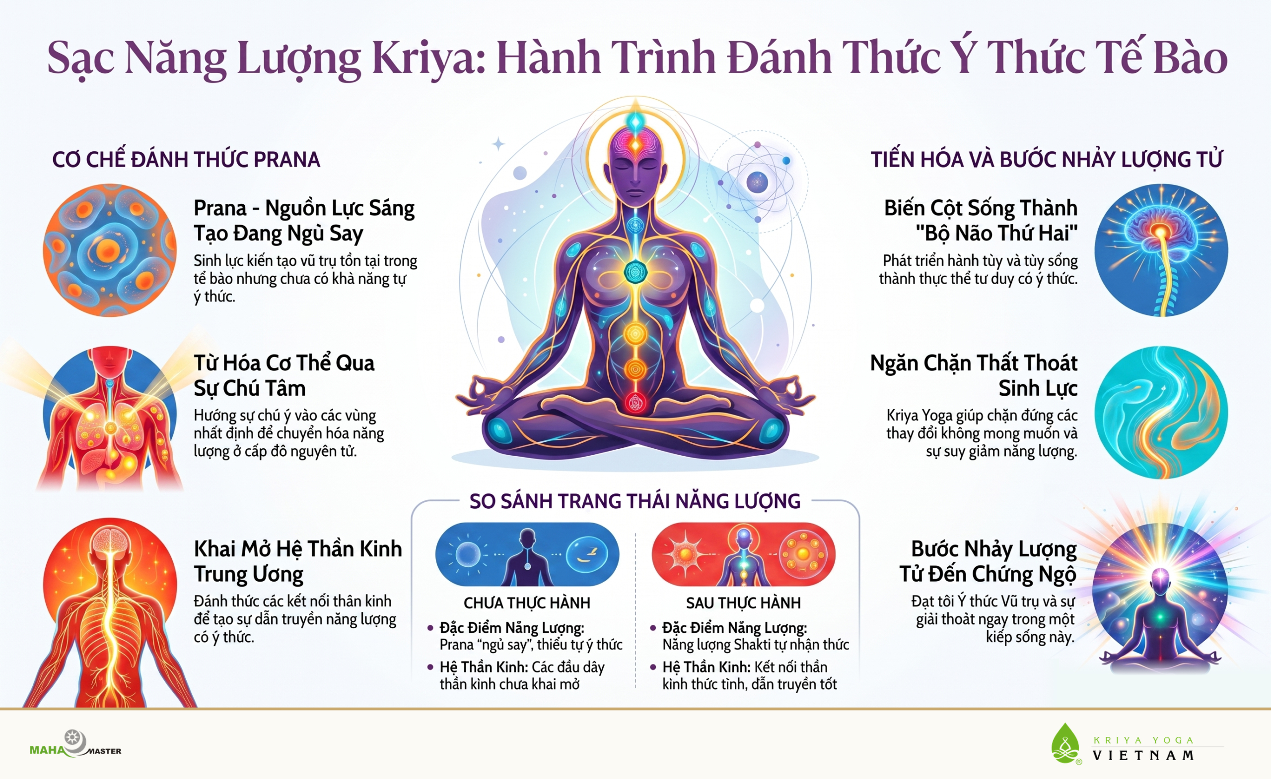 Sạc Năng Lượng Kriya: Hành Trình Đánh Thức Ý Thức Tế Bào