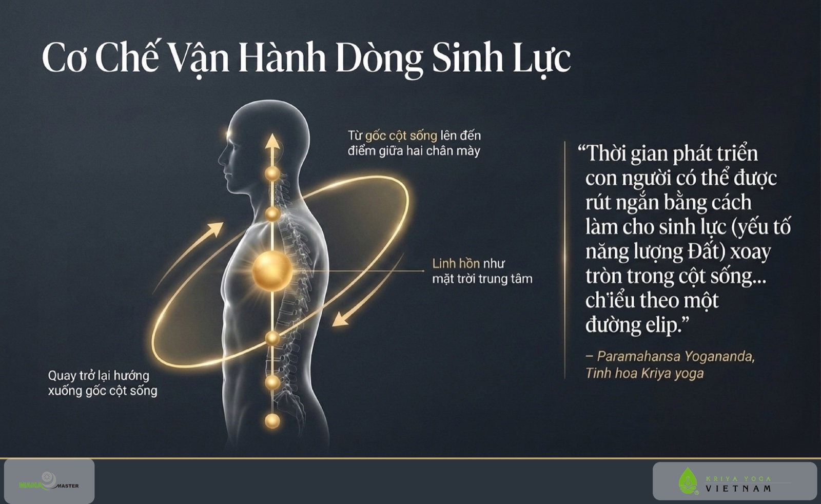 Cơ chế vận hành dòng sinh lực Prana theo cột sống