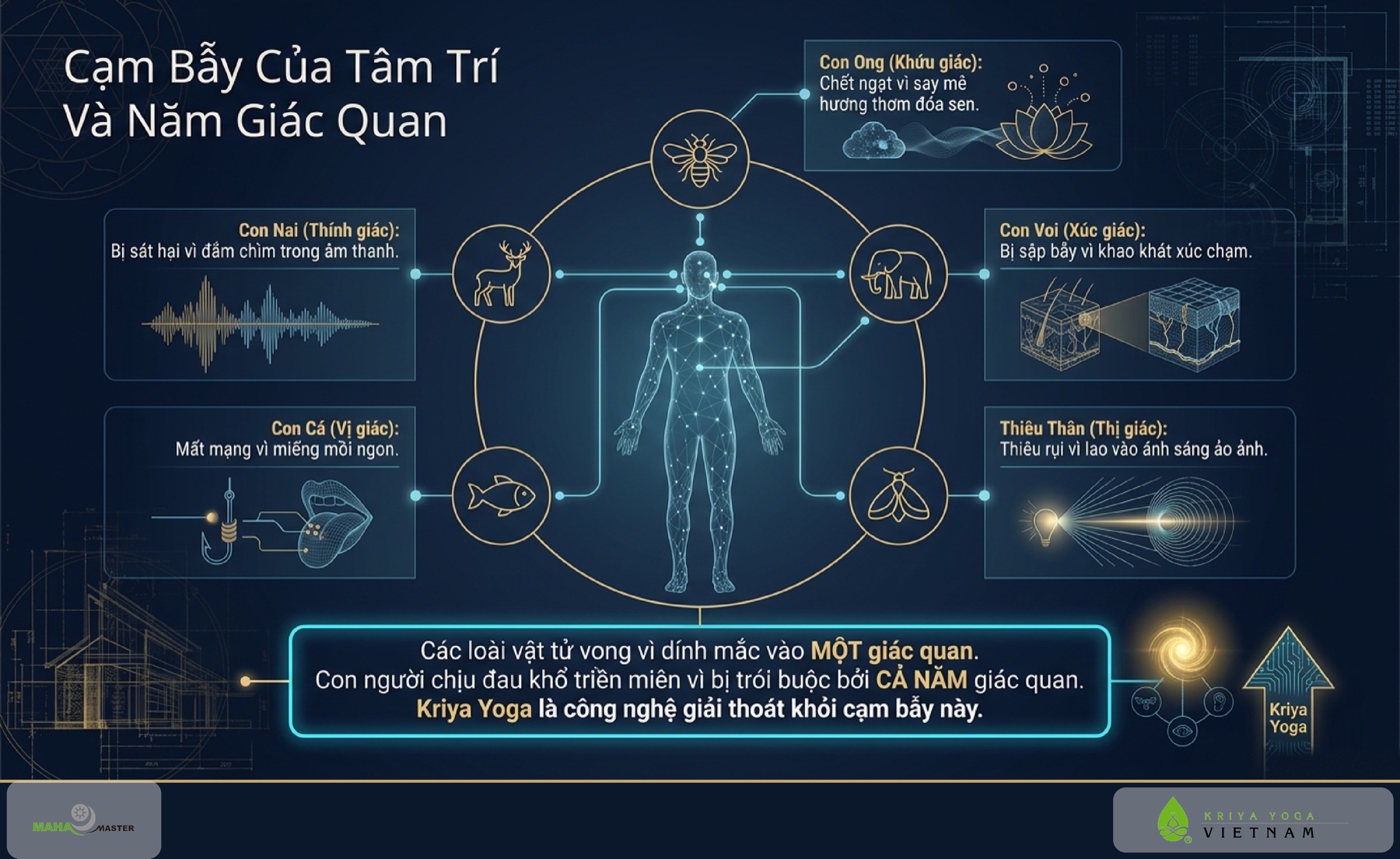 Cạm Bẫy Của Tâm Trí Và Năm Giác Quan
