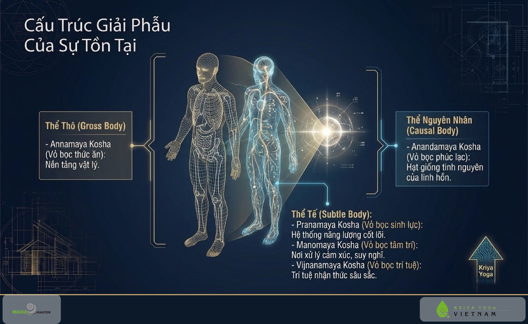 Cấu Trúc Giải Phẫu Của Sự Tồn Tại (5 Koshas)