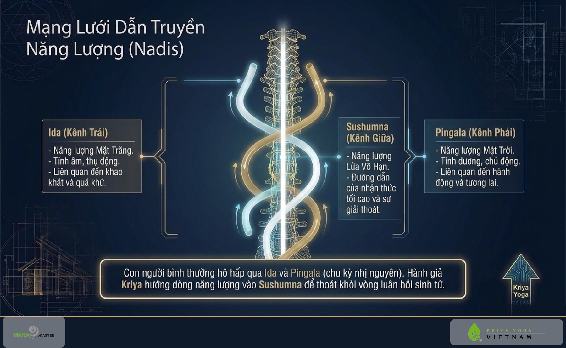 Mạng Lưới Dẫn Truyền Năng Lượng (Nadis)