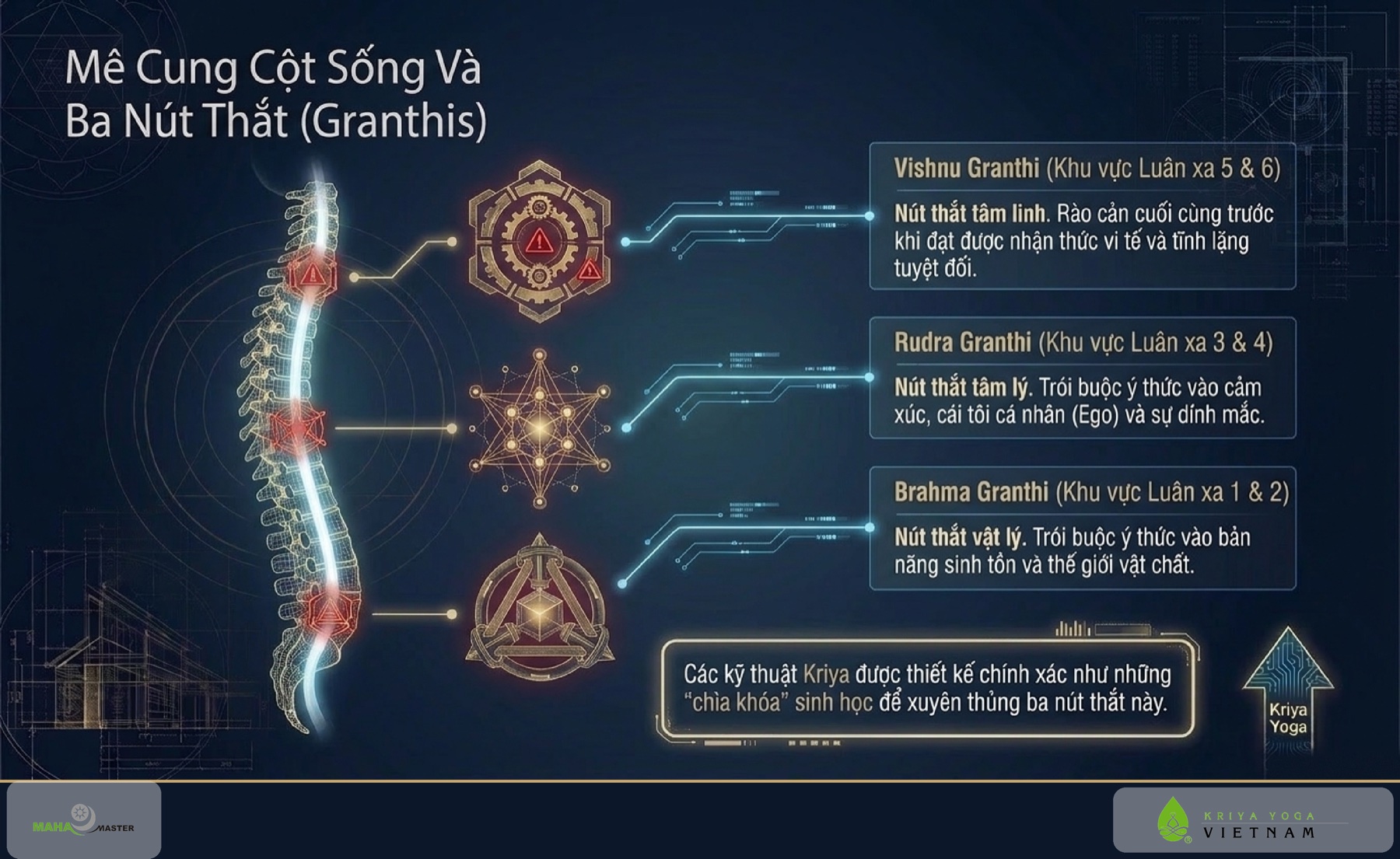 Mê Cung Cột Sống Và Ba Nút Thắt (Granthis)