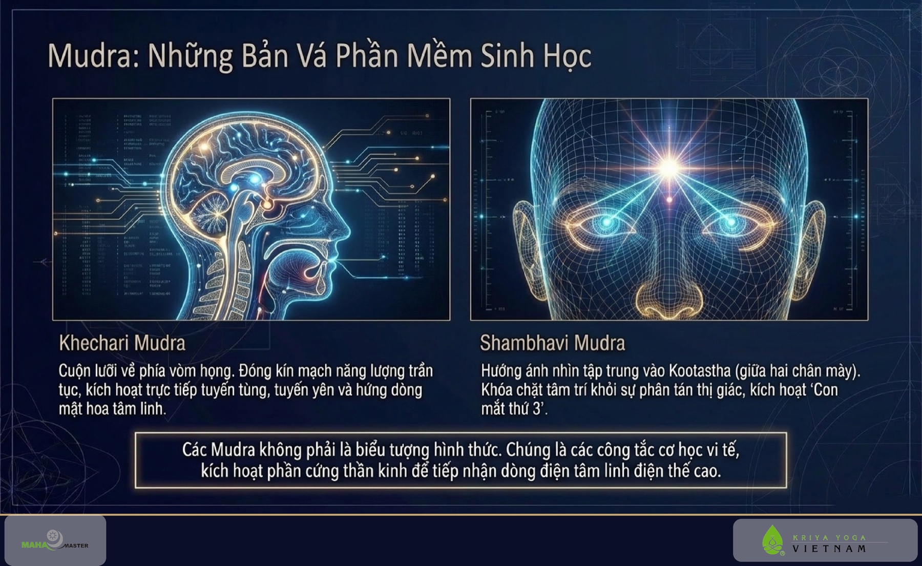 Mudra: Những Bản Vá Phần Mềm Sinh Học